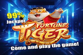 hehe555 app আমাদের সম্পর্কে